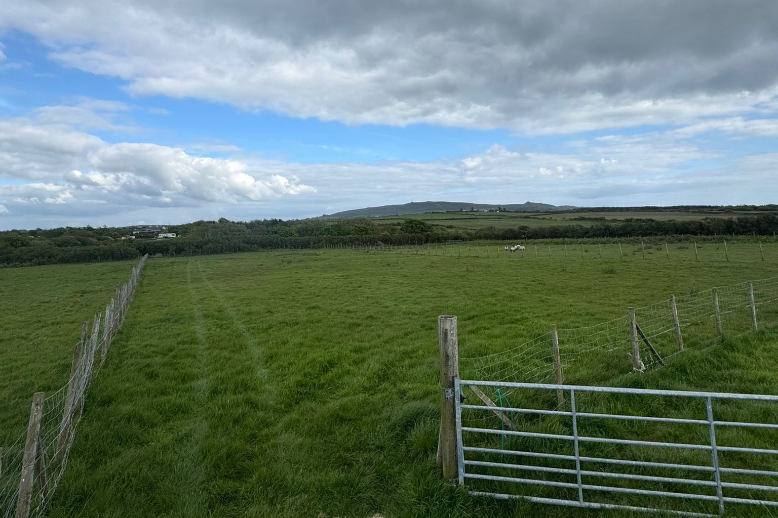 Gallop Through Gorgeous Gwynedd: Horse Holidays on the Llŷn Peninsula
