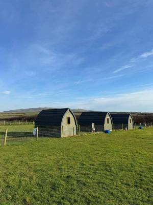 494095266_122125274660783359_6912441905868977621_n_original